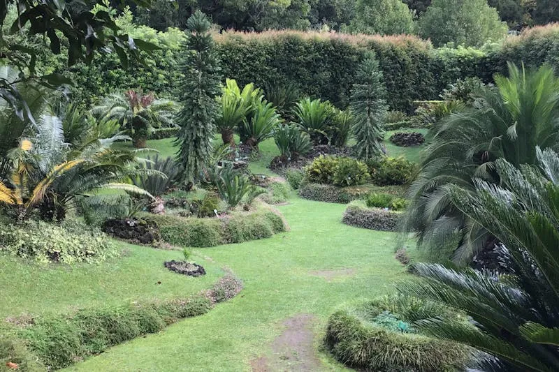 Children playing outdoors as an alternative to screens