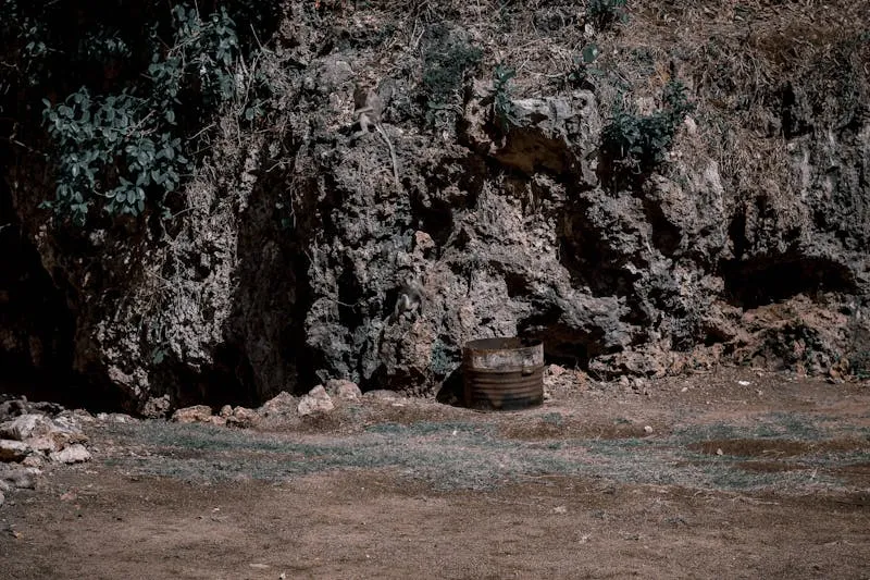 Preparing a creamy emulsion with a whisk in a steel bowl