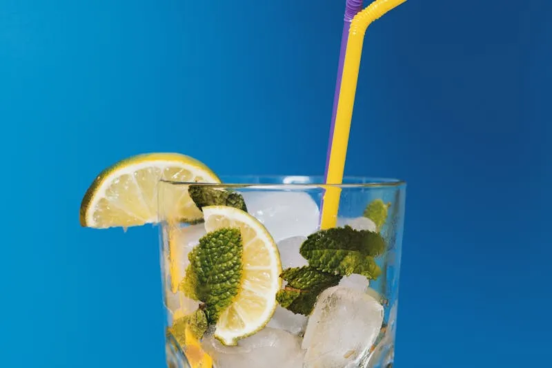 Glass of water with lemon slices and mint leaves