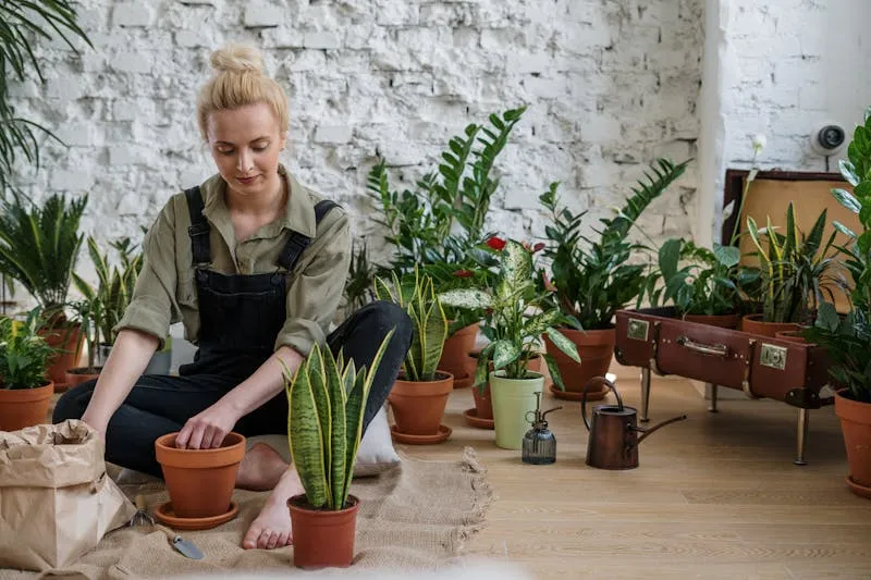 Varied collection of balcony garden containers: terracotta pots, wooden troughs, fabric grow bags and recycled plastic planters arranged on a terrace
