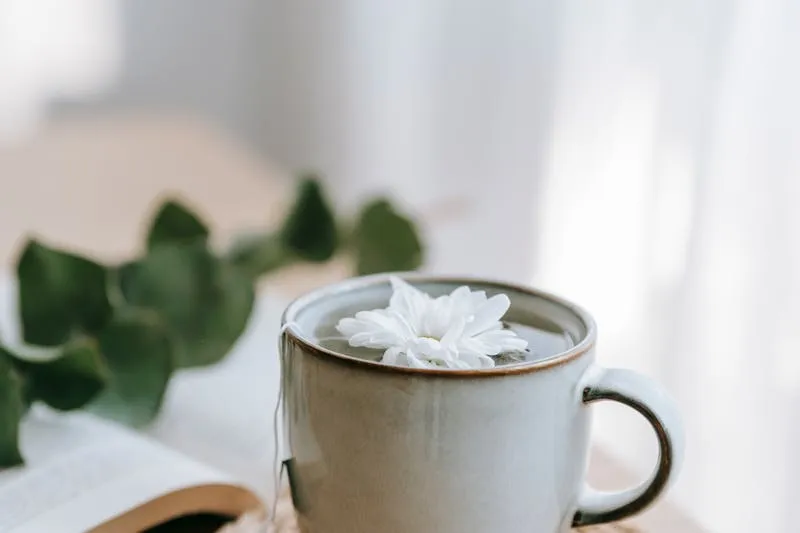 Different container growing media compared: peat-free multipurpose compost, white perlite, golden vermiculite and brown coir fibre