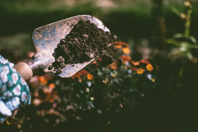 Healthy garden soil with visible earthworms in rich dark crumbly earth