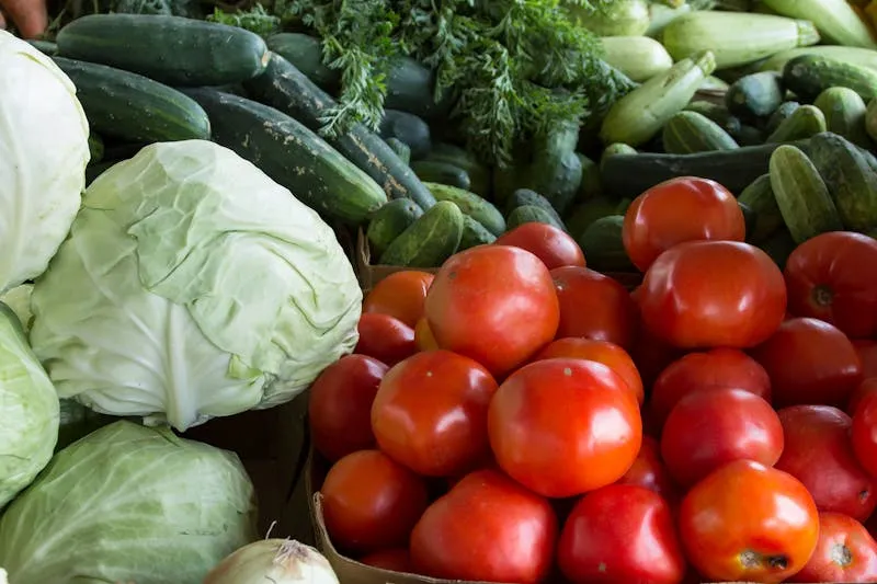 Plant-based protein sources — pulses, tofu, quinoa, eggs