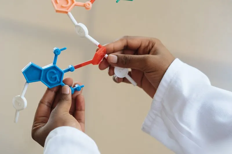 Illustration of the brain's reward circuit and sugar's role in dopamine release
