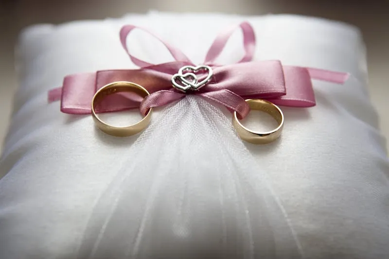 Wedding budget breakdown by category chart