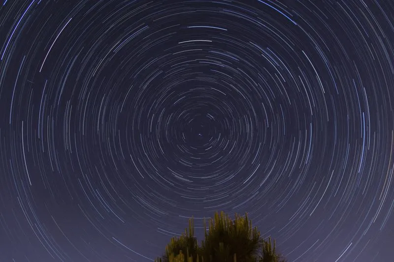 Circular star trails forming a wheel pattern in the night sky above a tree