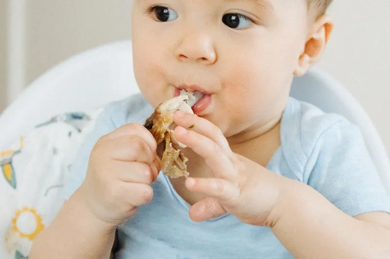 Baby eating a piece of tender chicken with their fingers