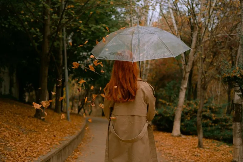 Woman seen from behind in a beige trench coat under a clear umbrella, on a park path covered in fallen leaves