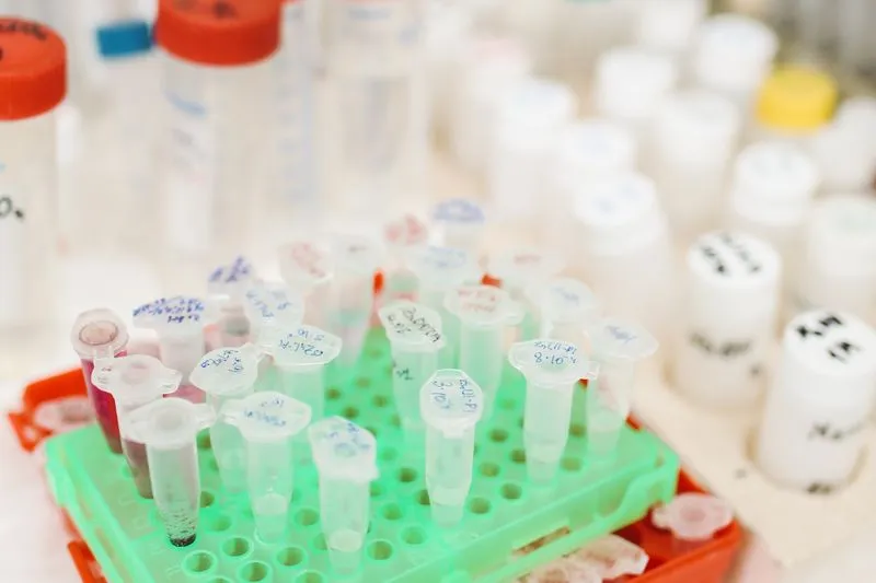 Small sample tubes labelled in marker pen, standing in a green rack on a laboratory bench