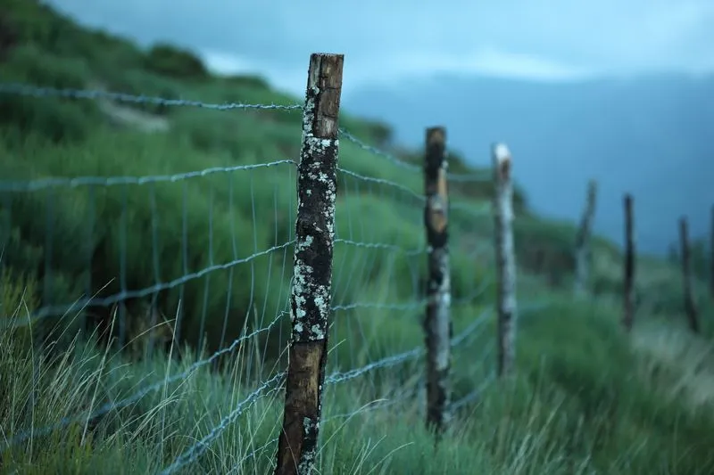 Barbed wire fence on wooden posts in a field, under a cloudy sky