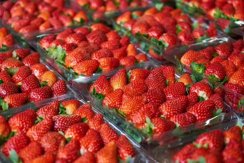 Punnets of shiny red strawberries lined up on a market stall