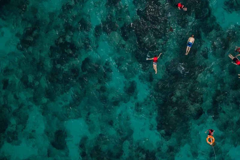 Aerial view of swimmers above a coral reef in turquoise water