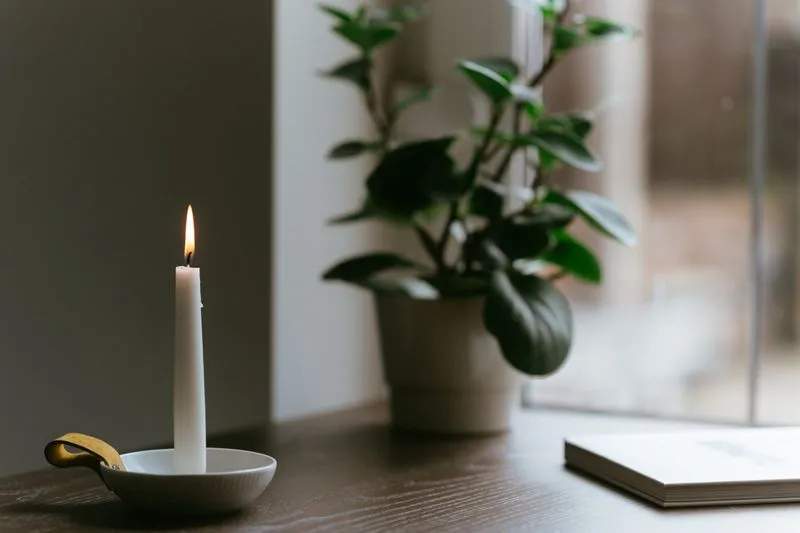 A lit candle next to a green plant on a wooden table