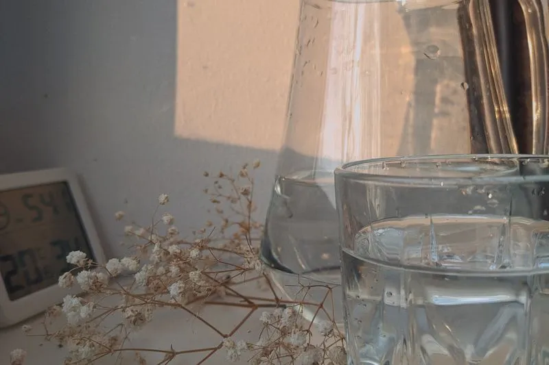 A carafe and a glass of water on a table in warm late-afternoon summer light, with dried flowers alongside