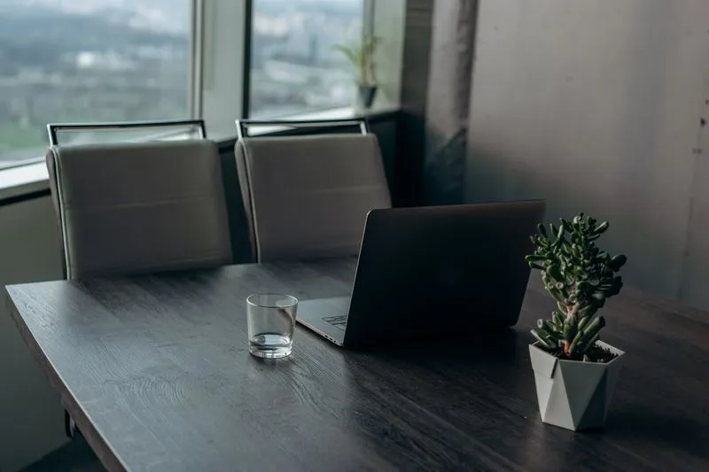 A glass of water on a dark wooden desk next to a laptop and a succulent, by a large window