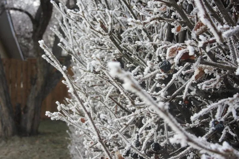 Cordless drill-driver on a workbench with bit set and drill bits