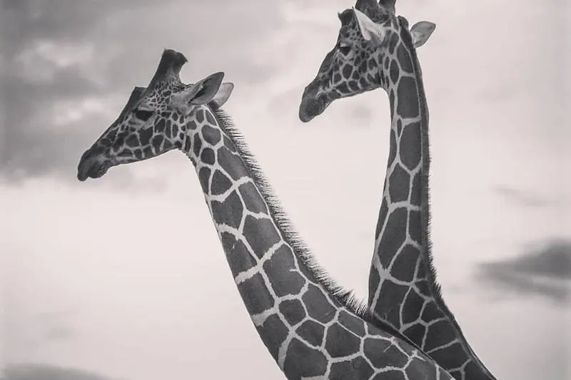 Birthing pool in a natural birth suite