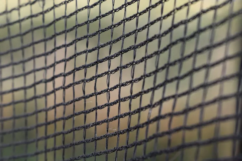 Woman's arm showing a contraceptive implant under the skin