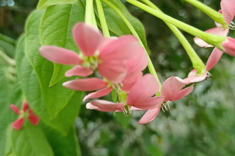 Contraception: The Complete Guide to All Available Methods