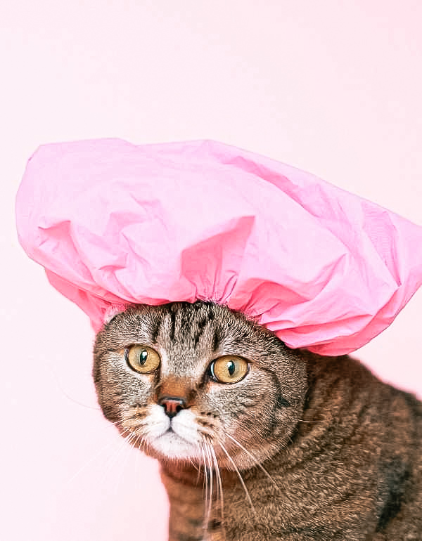 bonnet de douche